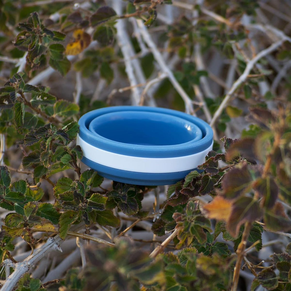 Hiker's Gold Ultralight Collapsible Cup for Hiking, Backpacking & Travel